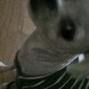 user5461306678887