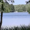 waltraudludwig6