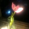 amlgad.5