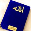 user8490801273127