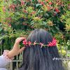 niha6263