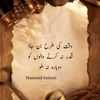 no_user11224