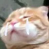 skhdjwhxh