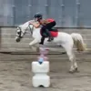 emiliej3014
