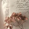 marlemwqwn8