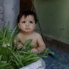 enrique.mirazo