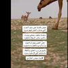 faaj__m