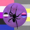 lilspiderslegs