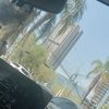 dianaflores_027