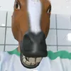 lukas_rs1
