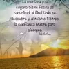 mirta.gonseski