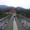trnhnguyn96