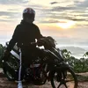hongthit01