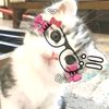 abellbell_04
