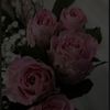 libr005