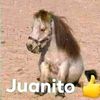 jomar6490