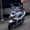 pcx.lover