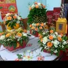 trang.trn9213