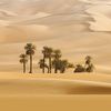 lotsofsand90