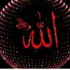 zahrazahra2538