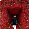 sundaskhan0186