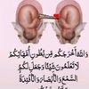 user70511418757356