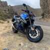 gorgonio750
