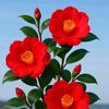 aruna.jannat