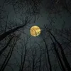omerdragonball