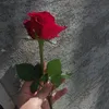 l.r__f