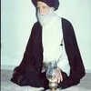 alsadri313a