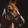 sergiosouza5677