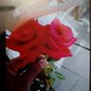 sifa.khan81