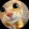 iluv.cats88