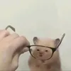 chya.iiztar