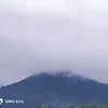 nht.tn.nguyn01