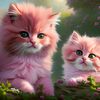kitycat982