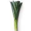 crusty_lauch_