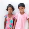 dedar743