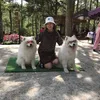 kimhangphan35789