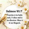 ivonneportillo47