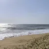 rachellili52