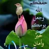 user5626234752206