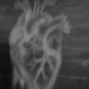 silvxko_40