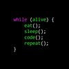 kokhantwebdev