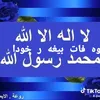 zanajaf85