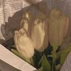 nour856918