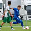 younes_zh2011