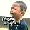 paijooo466