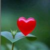 user2276388511124